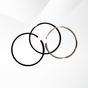 Ring Kit