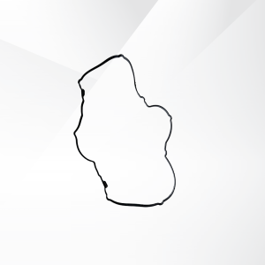 Cylinder Head Cover Seal Ring JS2