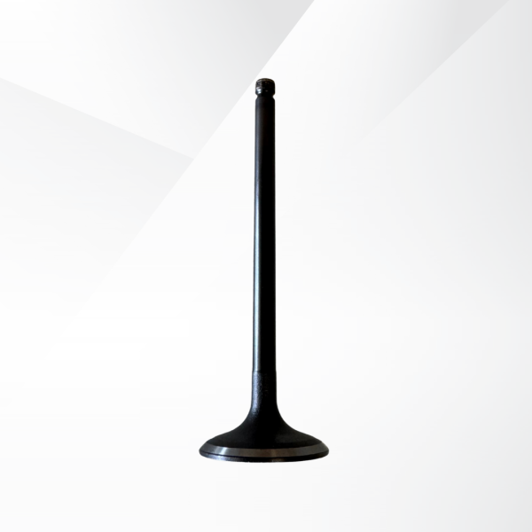 Intake Valve (T6 4X2 GAS)