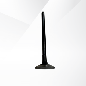 Intake Valve
