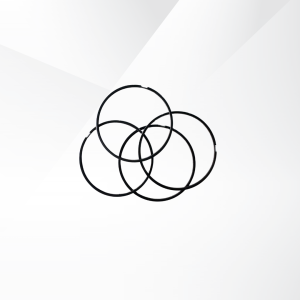 Oil Rings JS6