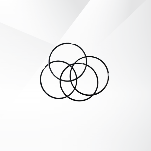 Oil Rings JS6