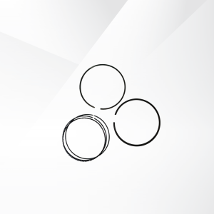 Ring Kit JS2